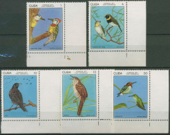 Kuba 1977 Naturschutz: Seltene Vögel 2197/2201 Ecke Postfrisch - Nuevos