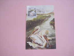 Yugoslavia MAXIMUM CARD 1992 - Briefe U. Dokumente