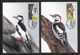 2021 Joint Kyrgyzstan And Croatia, SET OF 2 FDC MAXIMUM CARDS KYRGYZSTAN: Woodpeckers - Gezamelijke Uitgaven