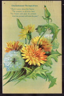 United States - 1909 - Flowers - Chrysanthemum - Flowers