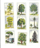 GF1478 - BONS POINTS ENCRE ROBERT - LES ARBRES - Other & Unclassified