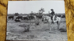 CPSM EN CAMARGUE MANADE DE TAUREAUX GARDIAN CHEVAL PHOTO GEORGE ARLES EN PROVENCE 1955 - Pferde