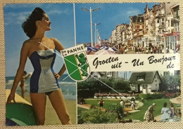 DE LA PANNE Groeten Uit Un Bonjour De. Pin-up CPSM Postée En 1963 - De Panne