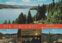 30029 - Schluchsee - Mit Camping Wolfsgrund - 1976 - Schluchsee