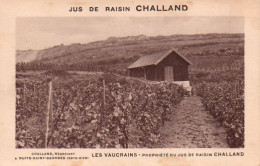 S13-003 Carte Publicitaire - Les Vaucrains - Propriété Du Jus De Raisin Challand à Nuits Saint Georges - Nuits Saint Georges