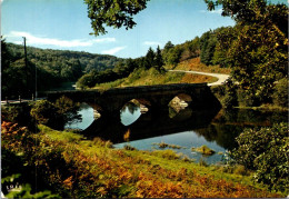 27-4-2024 (4 Y 13) France - Le Pont Des Lilas à La Jonchère - Brücken