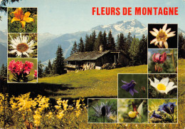 CPM - Fleurs De Montagne - Flowers