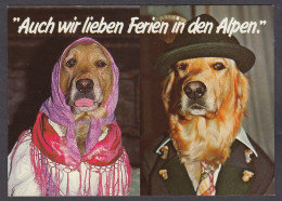 117137/ Humour, Chiens, *Ferien In Die Alpen* - Humour