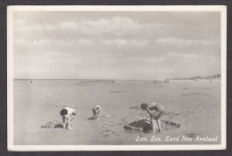 109103/ NES, Zon, Zee, Zand - Ameland