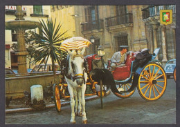 122463/ MÁLAGA, Plaza Del Obispo - Málaga