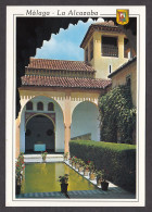 074845/ MÁLAGA, Alcazaba, Estanque Del Palacio - Málaga