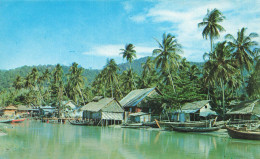 CPSM Malaysia-A Peaceful Scene At A Fishing Village-Penang       L2788 - Malasia
