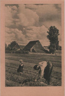 70686 - Arbeit Auf Dem Felde - Ca. 1950 - Sonstige