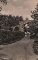 94829 - Hiddensee - Klostertor-Ruine - Hiddensee