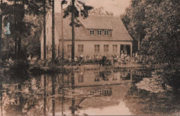 60750 - Schmiedefeld - Im Naturpark - Ca. 1965 - Schmiedefeld