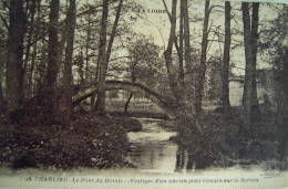 CPA Circa 1920 CHARLIEU Le Pont Du Diable (Vestiges Ancien Pont Romain Sur Le Sornin) - Dos Vert Éditeur Béguin Bel État - Charlieu
