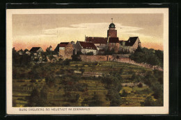 AK Neustadt /Odenwald, Burg Breuberg  - Odenwald