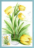 Carte Maximum Monaco 1985 - Plantes Du Parc National Du Mercantour - YT 1463 - Fritillaria Moggridgei - Maximumkarten (MC)