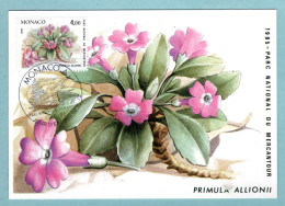 Carte Maximum Monaco 1985 - Plantes Du Parc National Du Mercantour - YT 1466 - Primula Allionii - Maximumkaarten