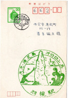 76495 - Japan - 1977 - ¥20 GAKte M BahnpostStpl FUKAGAWA-HORONOBE -> Nishinomiya - Storia Postale