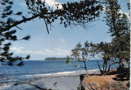NOUVELLE CALEDONIE NOUMEA L ILE DES PINS PINE TREES ISLAND - Nouvelle Calédonie
