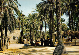 TUNISIE GABES - Túnez