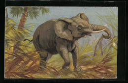 AK Elefant Zwischen Palmen In Freier Wildbahn  - Éléphants