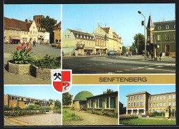 AK Senftenberg, Platz Der Freundschaft, Bahnhofstr., Schwimmhalle, Planetarium, Ingenieurschule Ernst Thälmann  - Senftenberg