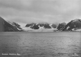 CPSM Norge-Svalbard,Madalena Bay-RARE    L2791 - Noorwegen