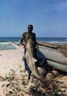 CPSM Afrique En Couleurs-Pêcheurs De Requins   L2791 - Non Classés