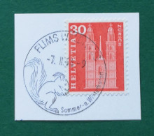 Schweiz Postkartenstück 1964 Flims SSt Eichhörnchen - Usati