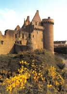 56-SARZEAU LE CHATEAU DE SUSCINIO-N°C-4339-A/0133 - Sarzeau