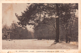 45-MONTARGIS-N°4478-C/0317 - Montargis