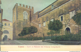 Ab341 Cartolina Capua Torre E Palazzo Dei Principi Longobardi Prov Di Caserta - Caserta