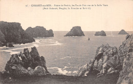 29-CAMARET SUR MER-N°T2917-G/0281 - Camaret-sur-Mer