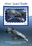 Nevis 2019 Atlantic Spotted Dolphin S/s, Mint NH, Nature - Animals (others & Mixed) - Sea Mammals - St.Kitts Und Nevis ( 1983-...)
