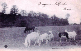 Agriculture -  Pastorale Du Centre - Bergere Et Son Troupeau De Chevres - Crías