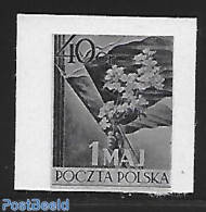 Poland 1954 Blackprint Imperforated., Mint NH, Nature - Flowers & Plants - Ongebruikt