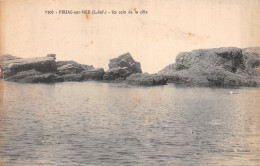 44-PIRIAC SUR MER-N°T2919-E/0319 - Piriac Sur Mer