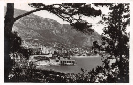 98-MONACO-N°4482-G/0151 - Andere & Zonder Classificatie