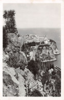 98-MONACO-N°4482-F/0245 - Andere & Zonder Classificatie