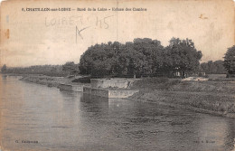 45-CHATILLON SUR LOIRE-N°T2921-B/0055 - Chatillon Sur Loire