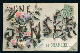 CPA - Carte Postale - France - Une Pensée De Charlieu  (CP24531 ) - Charlieu