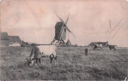 De Haan - Le Coq : Paysage - Landschap Met De Molen - Moulin A Vent-  1906 - De Haan