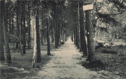 PAYS BAS - Laag Soeren - Groet Uit - Carte Postale Ancienne - Autres & Non Classés