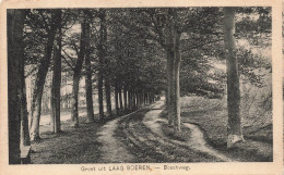 PAYS BAS - Groet Uit Laag Soeren -  Bosohweg - Carte Postale Ancienne - Andere & Zonder Classificatie