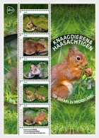 NETHERLANDS 2024 FAUNA Animals RODENTS And HARES - Fine S/S MNH - Neufs