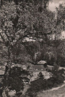 54905 - Dobel - Eynchmühle - Ca. 1955 - Calw