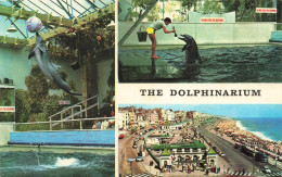 ANIMAUX ET FAUNE - The Dolphinarium - Colorisé - Carte Postale Ancienne - Dauphins