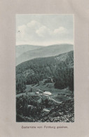 7820 FELDBERG, Zastlerhütte - Feldberg